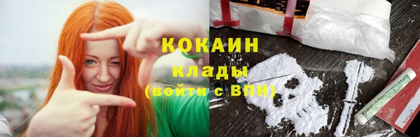 шишки Дмитриев