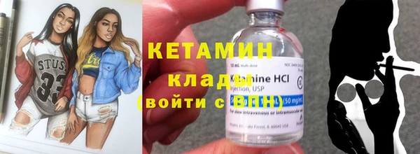 шишки Дмитриев