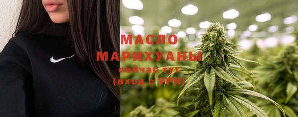 шишки Дмитриев