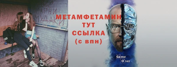 шишки Дмитриев