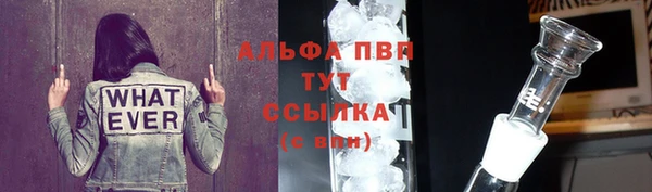 шишки Дмитриев