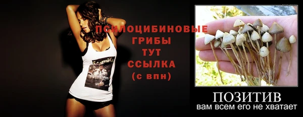 прущий лед Дмитров