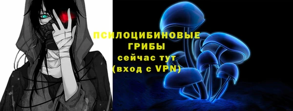 шишки Дмитриев