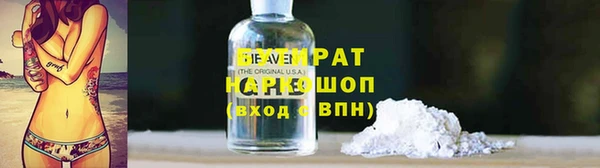 шишки Дмитриев