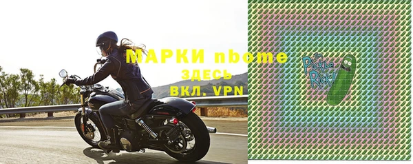 шишки Дмитриев