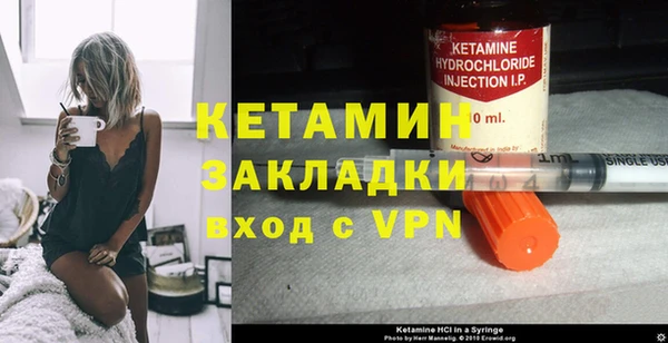 шишки Дмитриев