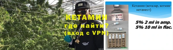 шишки Дмитриев